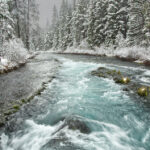 2024年6月双色球开奖结果全记录 1lb3tn