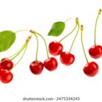 2023年3d开奖结果最新公布查询 6x2m2nw