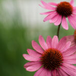 3D第186期开奖结果最新公布,快来看看你中奖了吗? gklx3b5x