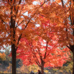 3d最近30期开奖结果完整历史数据统计与查询 hf3lrj9li