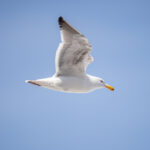 2025011期开奖结果公布最新中奖号码查询 i03232b