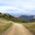 3d最近开奖号码查询与最新结果公布 irn4i