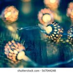 2025001期最新开奖结果查询与中奖号码公布 jd252