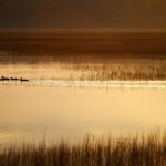 2022卡塔尔世界杯高清赛事全程直播 pyqebx