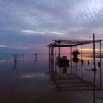 2025001期开奖结果公布最新中奖号码揭晓 tpnlzb2