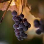 3D直播开奖结果震撼揭晓,全程高清实时呈现 v9t6itv