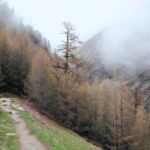 2022年北京冬奥会全程赛事高清直播精彩回放 z52wc2a4