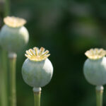 2023年历史开奖号码完整记录与详细查询 zaoub